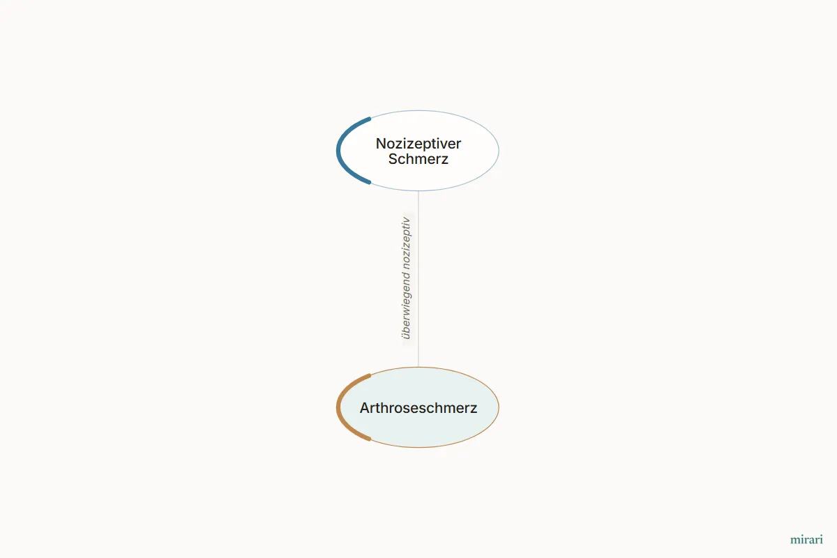 Ausschnitt aus der Starter-Map Chronischer Schmerz – vom Gewebe zum System: Arthroseschmerz und die direkt verbundenen Knoten