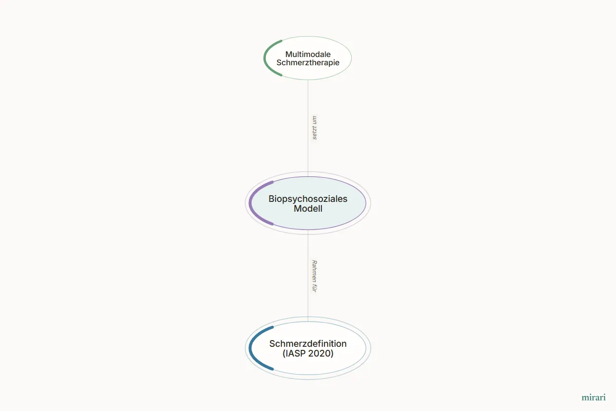 Ausschnitt aus der Starter-Map Chronischer Schmerz – vom Gewebe zum System: Biopsychosoziales Modell und die direkt verbundenen Knoten