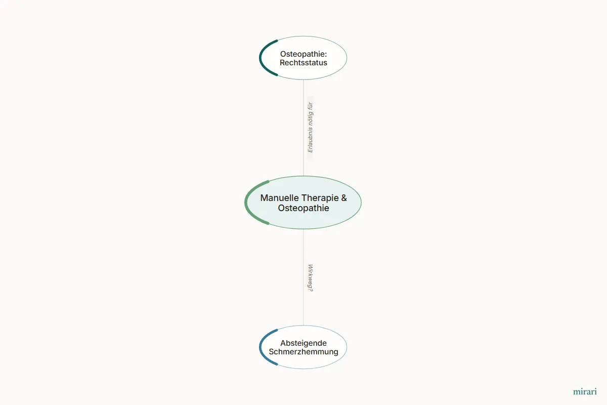 Ausschnitt aus der Starter-Map Chronischer Schmerz – vom Gewebe zum System: Manuelle Therapie & Osteopathie und die direkt verbundenen Knoten