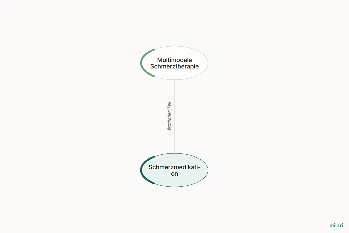 Ausschnitt aus der Starter-Map Chronischer Schmerz – vom Gewebe zum System: Schmerzmedikation und die direkt verbundenen Knoten