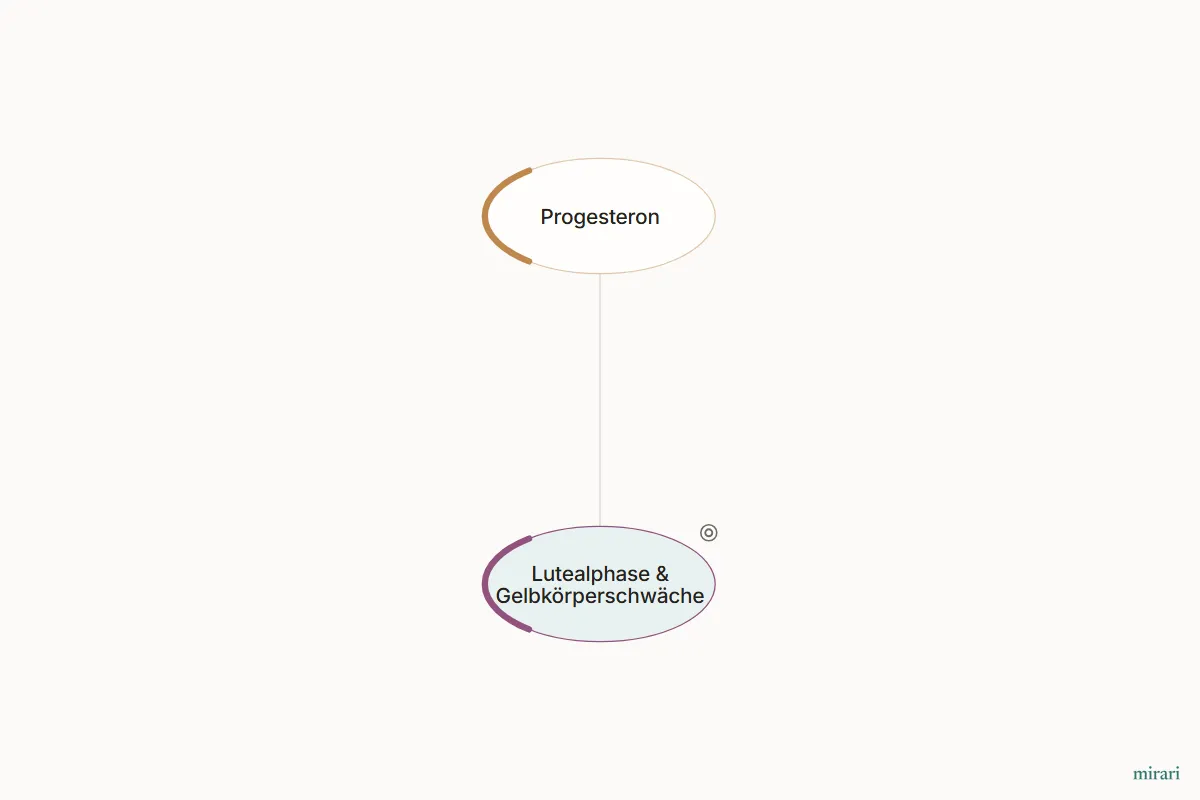 Ausschnitt aus der Starter-Map Kinderwunsch-Basisnetz: Lutealphase & Gelbkörperschwäche und die direkt verbundenen Knoten