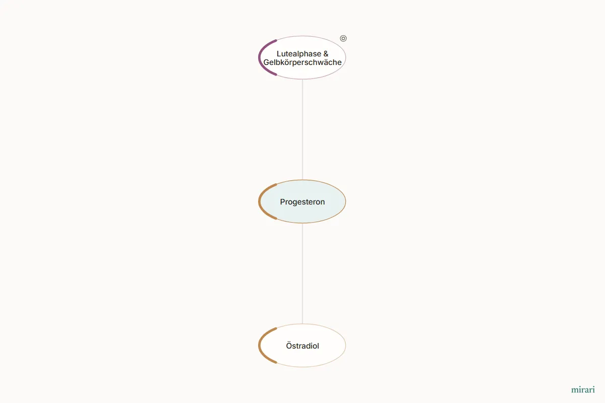 Ausschnitt aus der Starter-Map Kinderwunsch-Basisnetz: Progesteron und die direkt verbundenen Knoten
