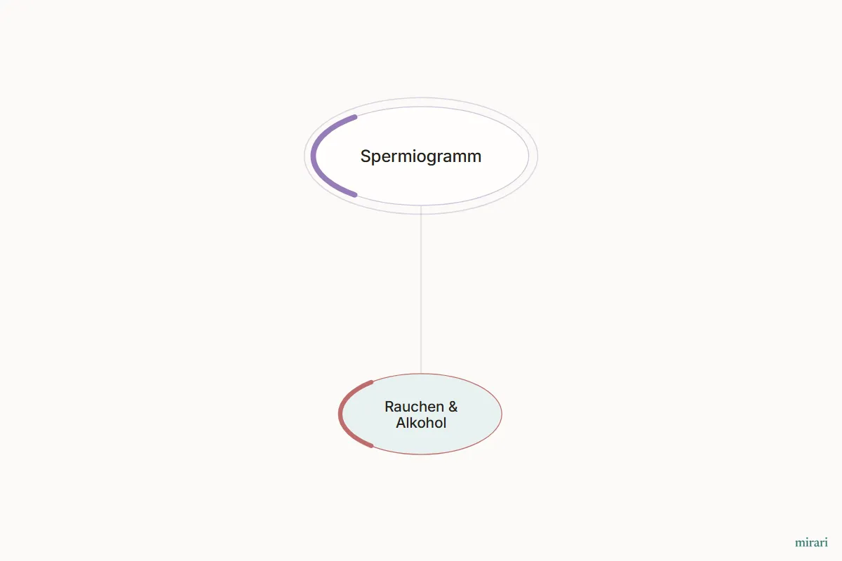 Ausschnitt aus der Starter-Map Kinderwunsch-Basisnetz: Rauchen & Alkohol und die direkt verbundenen Knoten