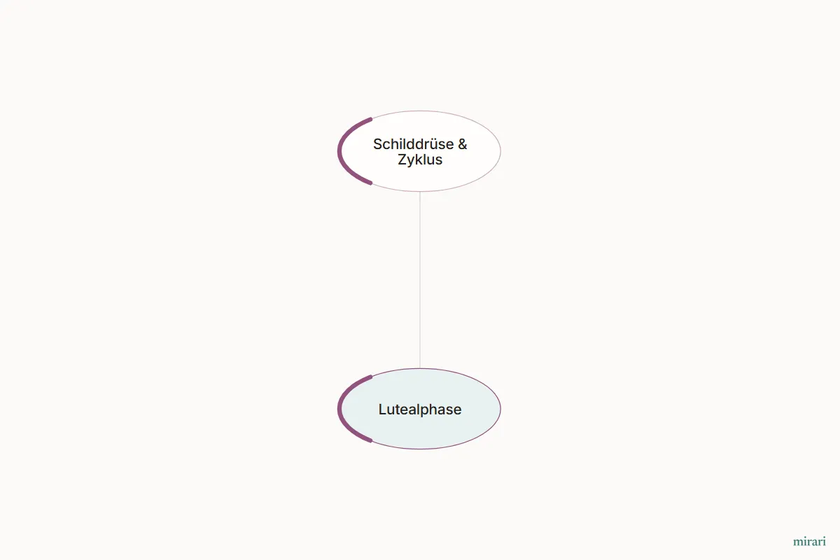 Ausschnitt aus der Starter-Map Schilddrüse – Nebenniere – Zyklus: Lutealphase und die direkt verbundenen Knoten