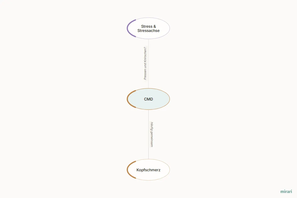 Ausschnitt aus der Starter-Map Chronischer Schmerz – vom Gewebe zum System: CMD und die direkt verbundenen Knoten