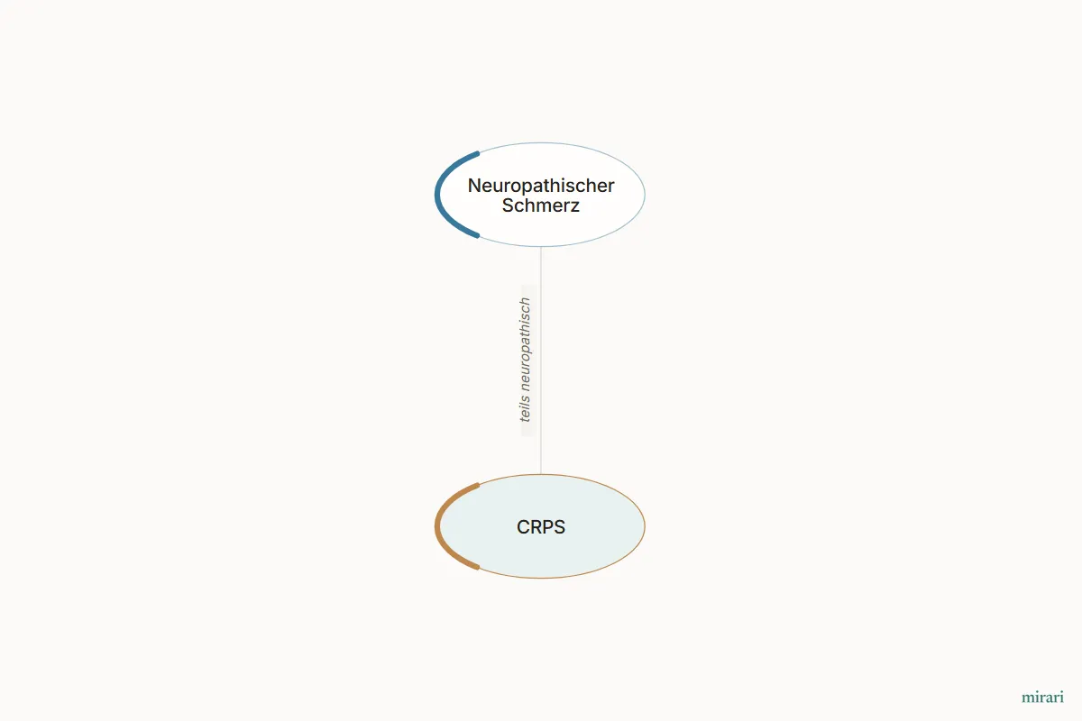 Ausschnitt aus der Starter-Map Chronischer Schmerz – vom Gewebe zum System: CRPS und die direkt verbundenen Knoten