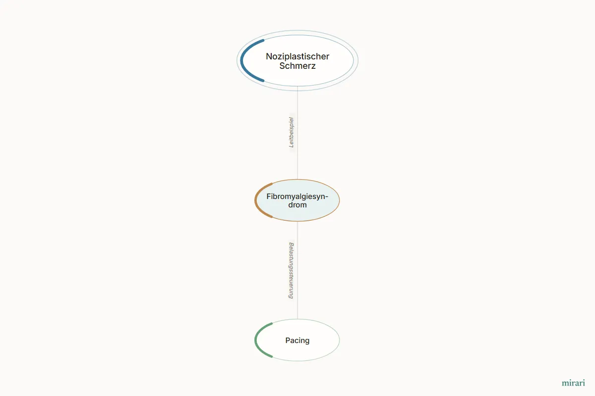 Ausschnitt aus der Starter-Map Chronischer Schmerz – vom Gewebe zum System: Fibromyalgiesyndrom und die direkt verbundenen Knoten
