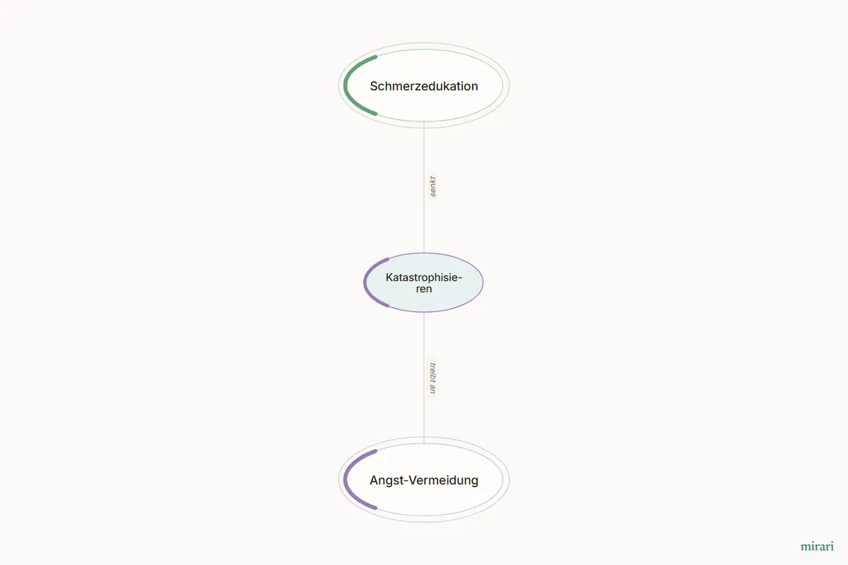Ausschnitt aus der Starter-Map Chronischer Schmerz – vom Gewebe zum System: Katastrophisieren und die direkt verbundenen Knoten