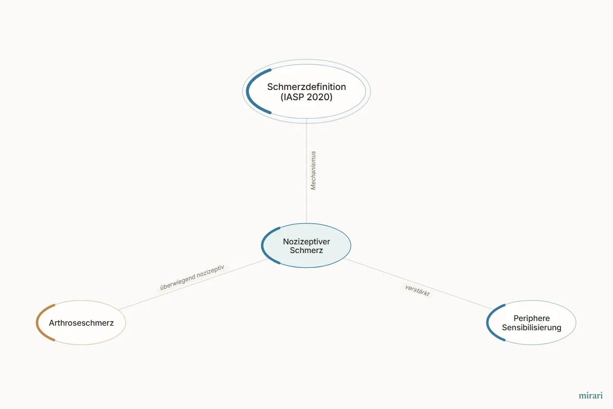 Ausschnitt aus der Starter-Map Chronischer Schmerz – vom Gewebe zum System: Nozizeptiver Schmerz und die direkt verbundenen Knoten