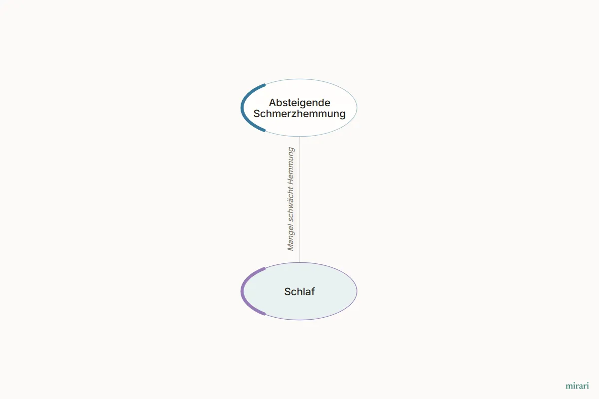 Ausschnitt aus der Starter-Map Chronischer Schmerz – vom Gewebe zum System: Schlaf und die direkt verbundenen Knoten