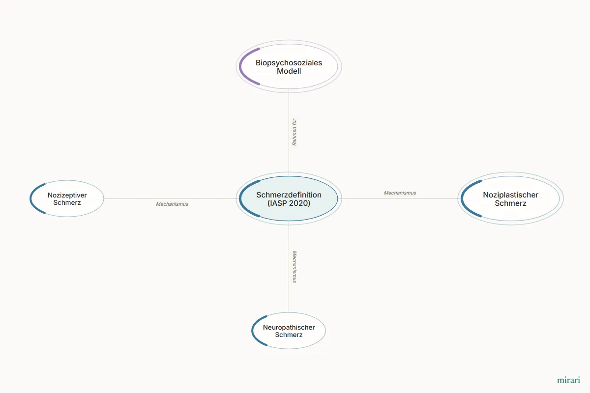 Ausschnitt aus der Starter-Map Chronischer Schmerz – vom Gewebe zum System: Schmerzdefinition (IASP 2020) und die direkt verbundenen Knoten