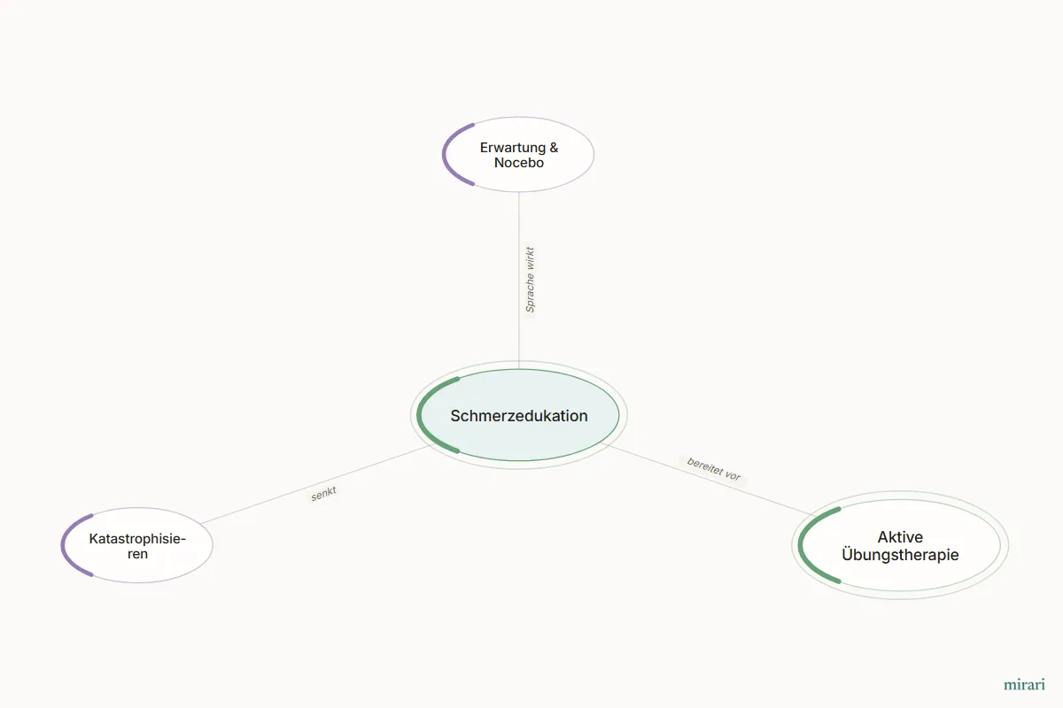 Ausschnitt aus der Starter-Map Chronischer Schmerz – vom Gewebe zum System: Schmerzedukation und die direkt verbundenen Knoten