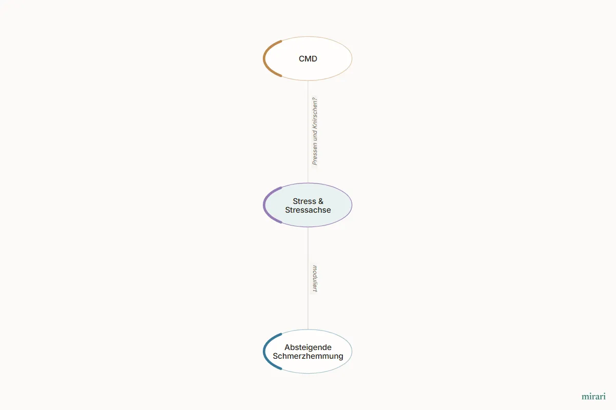 Ausschnitt aus der Starter-Map Chronischer Schmerz – vom Gewebe zum System: Stress & Stressachse und die direkt verbundenen Knoten