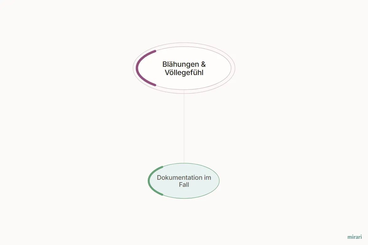Ausschnitt aus der Starter-Map Die Darm-Hormon-Achse: Dokumentation im Fall und die direkt verbundenen Knoten