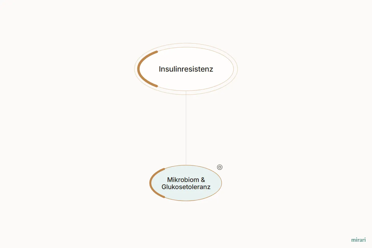 Ausschnitt aus der Starter-Map Die Darm-Hormon-Achse: Mikrobiom & Glukosetoleranz und die direkt verbundenen Knoten