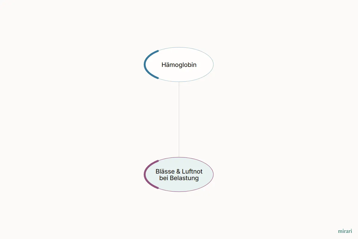 Ausschnitt aus der Starter-Map Eisenmangel und Erschöpfung: Blässe & Luftnot bei Belastung und die direkt verbundenen Knoten