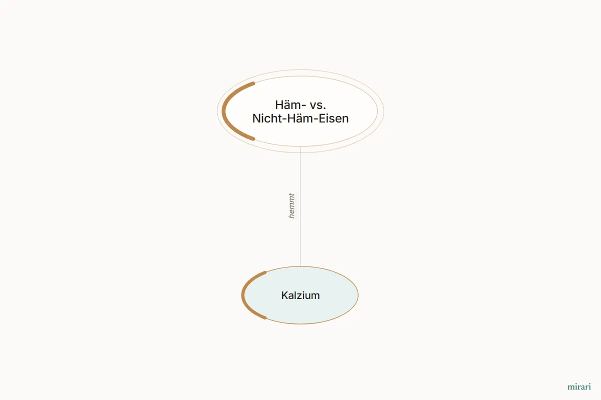 Ausschnitt aus der Starter-Map Eisenmangel und Erschöpfung: Kalzium und die direkt verbundenen Knoten