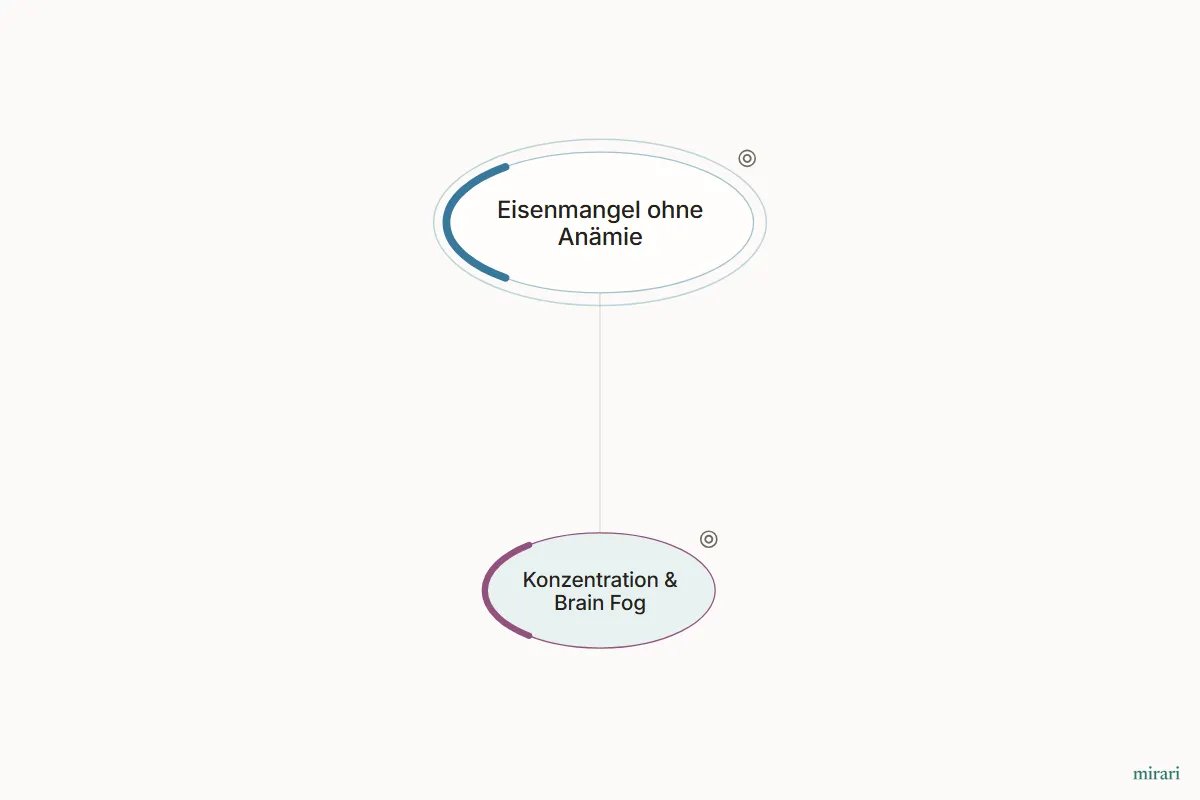 Ausschnitt aus der Starter-Map Eisenmangel und Erschöpfung: Konzentration & Brain Fog und die direkt verbundenen Knoten