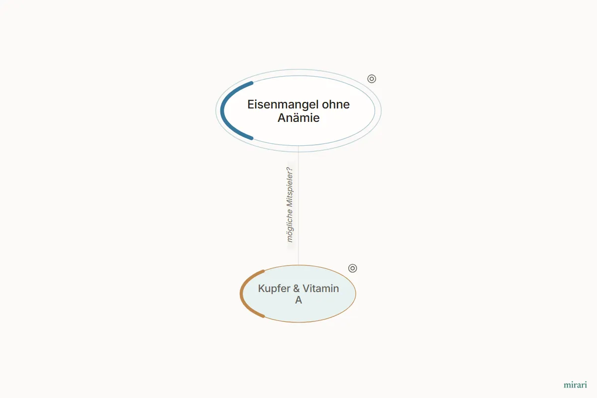 Ausschnitt aus der Starter-Map Eisenmangel und Erschöpfung: Kupfer & Vitamin A und die direkt verbundenen Knoten