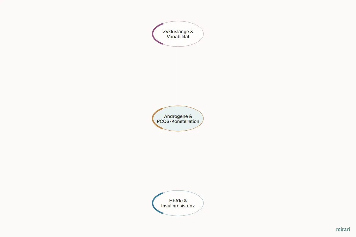 Ausschnitt aus der Starter-Map Kinderwunsch-Basisnetz: Androgene & PCOS-Konstellation und die direkt verbundenen Knoten