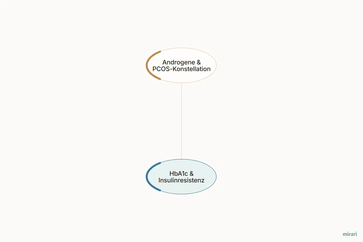 Ausschnitt aus der Starter-Map Kinderwunsch-Basisnetz: HbA1c & Insulinresistenz und die direkt verbundenen Knoten