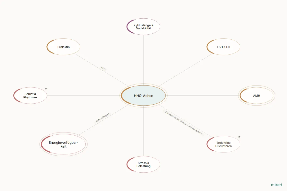 Ausschnitt aus der Starter-Map Kinderwunsch-Basisnetz: HHO-Achse und die direkt verbundenen Knoten
