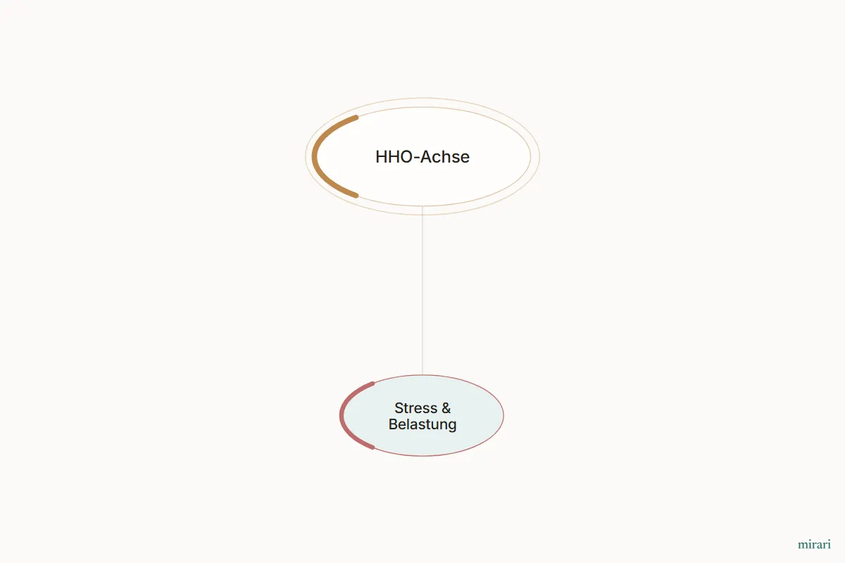 Ausschnitt aus der Starter-Map Kinderwunsch-Basisnetz: Stress & Belastung und die direkt verbundenen Knoten