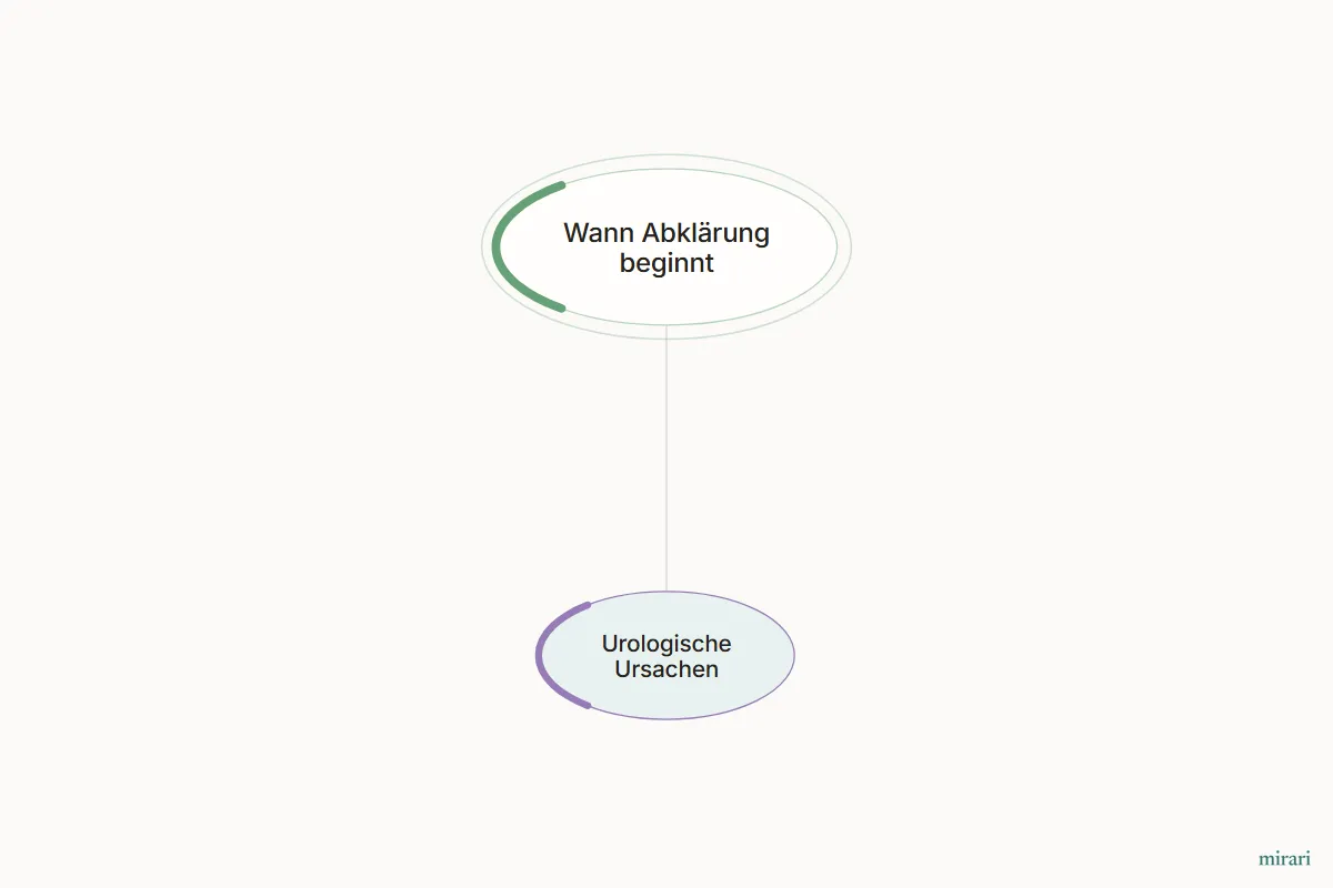 Ausschnitt aus der Starter-Map Kinderwunsch-Basisnetz: Urologische Ursachen und die direkt verbundenen Knoten