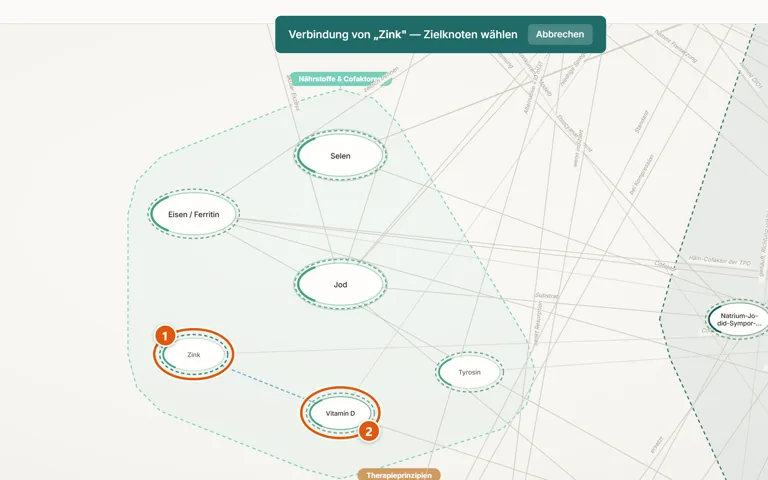 Der Knoten „Zink“ ist per Rechtsklick gewählt, oben steht der Hinweis „Zielknoten wählen“, eine gestrichelte Hilfslinie führt zum Knoten „Vitamin D“